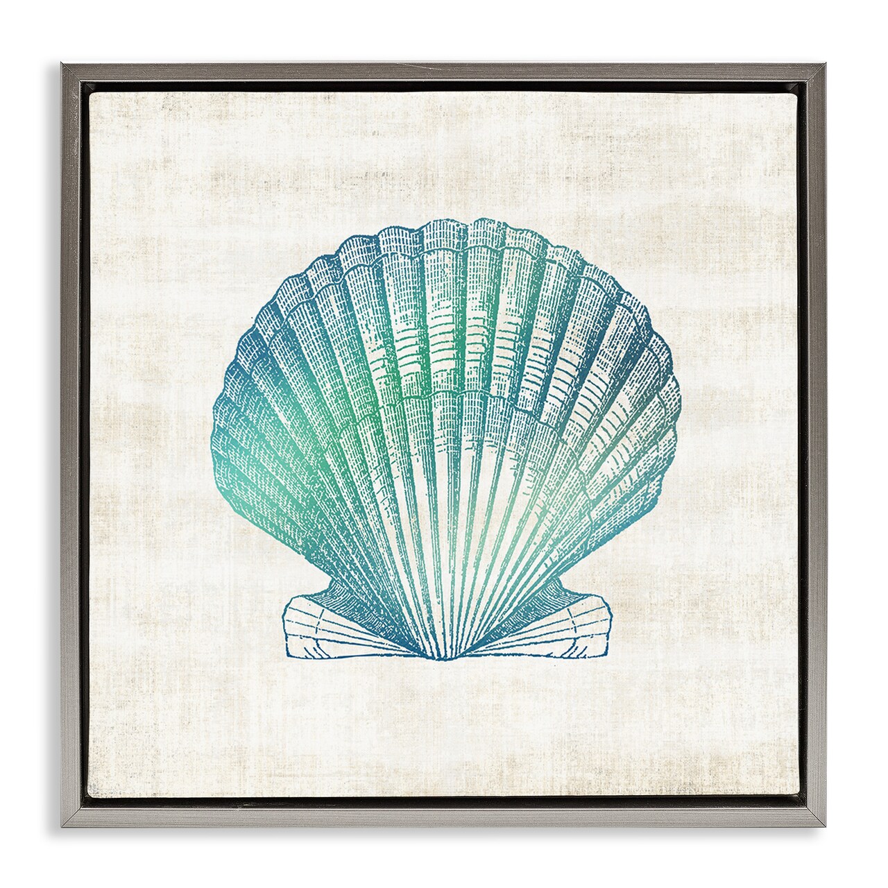 Stupell Industries Gradient Clam Seashell Floating Frame Design by Susan Arnot